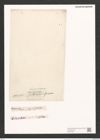 Nitzschia spathulifera Grun. (de-Toni-Nr.: Genus 47, Species 2077) Zeichnungen Sammlung Grunow (NHMW-BOT-W0371969)
